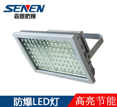 CC97高亮節(jié)能LED防爆泛光燈 CC97高亮節(jié)能LED防爆泛光燈